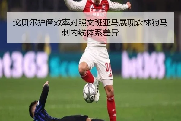 戈贝尔护筐效率对照文班亚马展现森林狼马刺内线体系差异